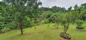 ein Garten mit zwei Bäumen auf einem Feld in der Unterkunft Chácara Recanto dos Lagos in Cotia