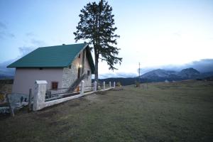 にあるApartmani pod Durmitoromの木の隣にある緑の屋根の小さな白い建物