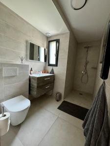 a bathroom with a toilet and a sink at Cosy studio Noha in Thonon-les-Bains +6 photos