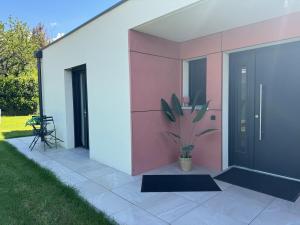a house with a potted plant on the side of it at Cosy studio Noha in Thonon-les-Bains