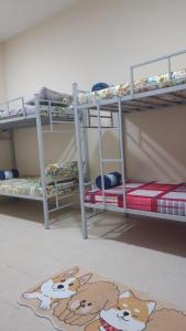 um quarto com 2 beliches e um tapete no chão em Gulf Gateway Hostel em Mascate