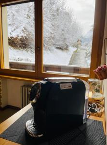 a suitcase sitting on a table in front of a window at Casa DaRin in Vigo di Cadore
