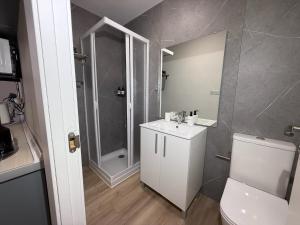a bathroom with a shower and a toilet and a sink at Estudios Areal in Vigo