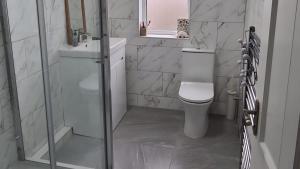 ein Badezimmer mit Toilette, Waschbecken und Dusche in der Unterkunft 1BR London Home Private Bathroom and Kitchen 10min to Heathrow in Cranford