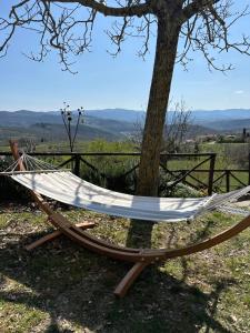 卡波罗纳Casa Vacanze Il Puggio的挂在树上的吊床，视野开阔。