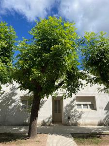 un albero di fronte a un edificio bianco di DEPTO PAZ a Dolores