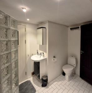 Et badeværelse på Cozy 2BD apartment in Central Bergen + 19 billeder