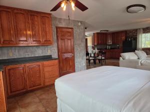 1 dormitorio con 1 cama y sala de estar con cocina en Quaint Little Studio, en Apple Valley