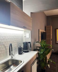 Defensa 821 - Studios in San Telmo في بوينس آيرس: مطبخ مع حوض وزرع على كاونتر +39 صورة