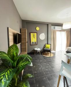 a living room with a plant in the middle at Defensa 821 - Studios in San Telmo in Buenos Aires