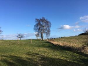 Příroda nedaleko prázdninového domu