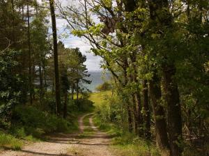 Příroda nedaleko prázdninového domu