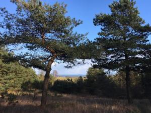 Příroda nedaleko prázdninového domu