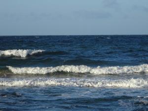 Příroda nedaleko prázdninového domu + 30 fotografií
