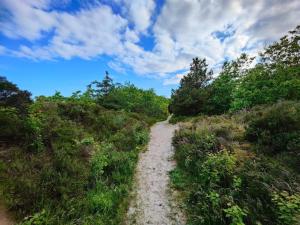 un chemin de terre à travers un champ avec des arbres sous un ciel nuageux dans l'établissement 6 person holiday home in Bjert-By Traum, à Binderup Strand