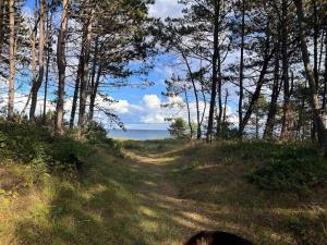 Naturlandskabet i nærheden af feriehuset