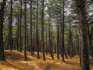 Příroda nedaleko prázdninového domu