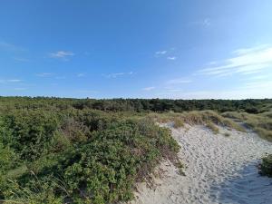 Příroda nedaleko prázdninového domu