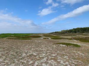 Příroda nedaleko prázdninového domu