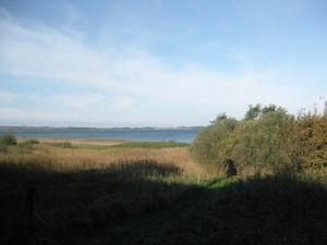 Naturlandskabet i nærheden af feriehuset