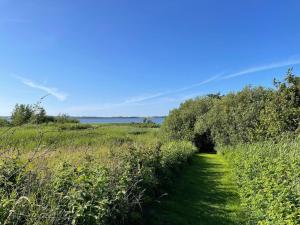Naturlandskabet i nærheden af feriehuset + 16 billeder