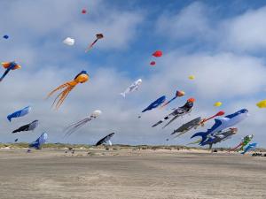 Une bande de cerfs volant dans le ciel sur la plage dans l'établissement 6 person holiday home in Fanø-By Traum, à Fanø