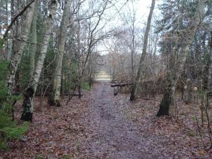 Příroda nedaleko prázdninového domu