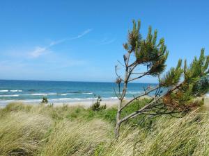 صورة لـ 8 person holiday home in Rørvig-By Traum في Rørvig