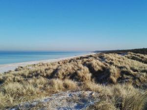 صورة لـ 8 person holiday home in Rørvig-By Traum في Rørvig