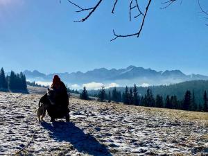 a person riding a horse in a snow covered field at Domek Tatry - Stacja Wierchowa 972 m in Brzegi