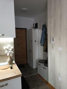 a room with a kitchen with a door and a room with a door at Divci Nova1- A8 in Divčibare +35 photos