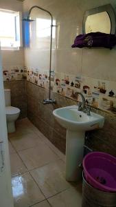 une salle de bain avec un lavabo et des toilettes dans l'établissement Atlas Aswan Apartment Near Nile Corniche and Old Tourist Market شقة أطلس أسوان بجوار كورنيش النيل والسوق السياحي القديم, à Assouan
