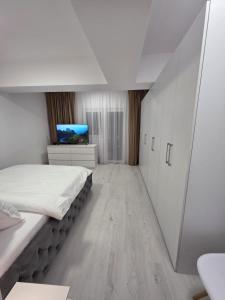 a bedroom with a bed and a tv in it at Sya House in Craiova