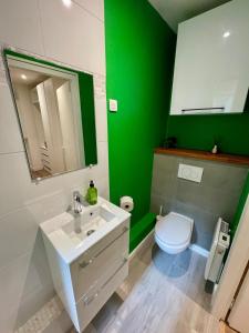 a green bathroom with a white sink and a toilet at Studio cosy, proche Bordeaux et fleuve in Lormont