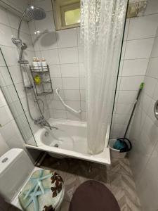 ein Badezimmer mit einer Dusche, einer Badewanne und einem WC in der Unterkunft Alans Place to visit in Daugavpils + 2 Fotos