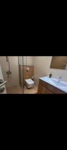 Ένα μπάνιο στο Luxury furnished 1BHK apartment Maria Vista +6 φωτογραφίες