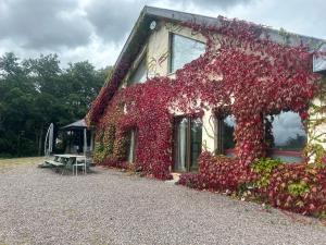 Κήπος έξω από το Modern 4 Bedroom House Ring of Kerry -Killarney