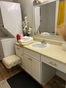 une salle de bain avec un lavabo et un miroir dans l'établissement Modern 1BR Porchlight retreat, à Farmington Hills