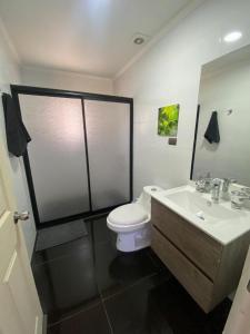 a bathroom with a toilet and a sink at Casa Pichilemu in Pichilemu +5 photos