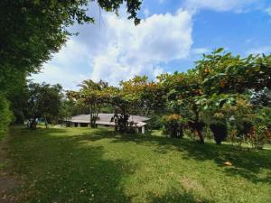 Zahrada ubytování Villa Alejandra