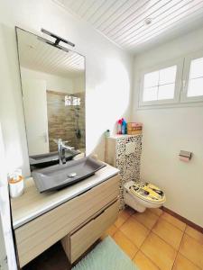 ein Bad mit einem Waschbecken und einem WC mit einem Spiegel in der Unterkunft Villa Krysleen in Le Diamant