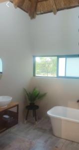 a bathroom with a tub and a plant in it at Fikani game lodge in Thabazimbi
