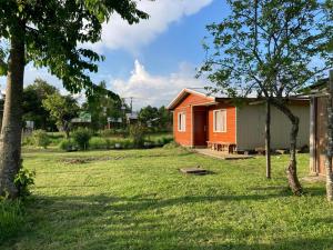 a small house in the middle of a yard at Cabaña Pulingue-Base Camp in Ancagual