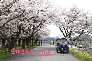 Příroda nedaleko hotelu