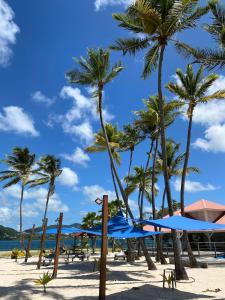 Phong cảnh thiên nhiên gần biệt thự