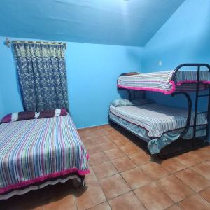 two bunk beds in a room with blue walls at tamasopo y sus rios in Tambaca