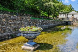 Zahrada ubytování Creekside Fun Dog-friendly, Games & Fire Pit + 70 fotografií