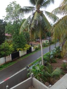 un palmier sur le côté d'une route dans l'établissement Happy villa, à Weligama