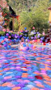 a woman in the middle of a pool of flowers at Sky Bay Lodge in Ha Giang