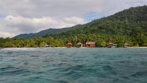 Příroda nedaleko ubytování v soukromí